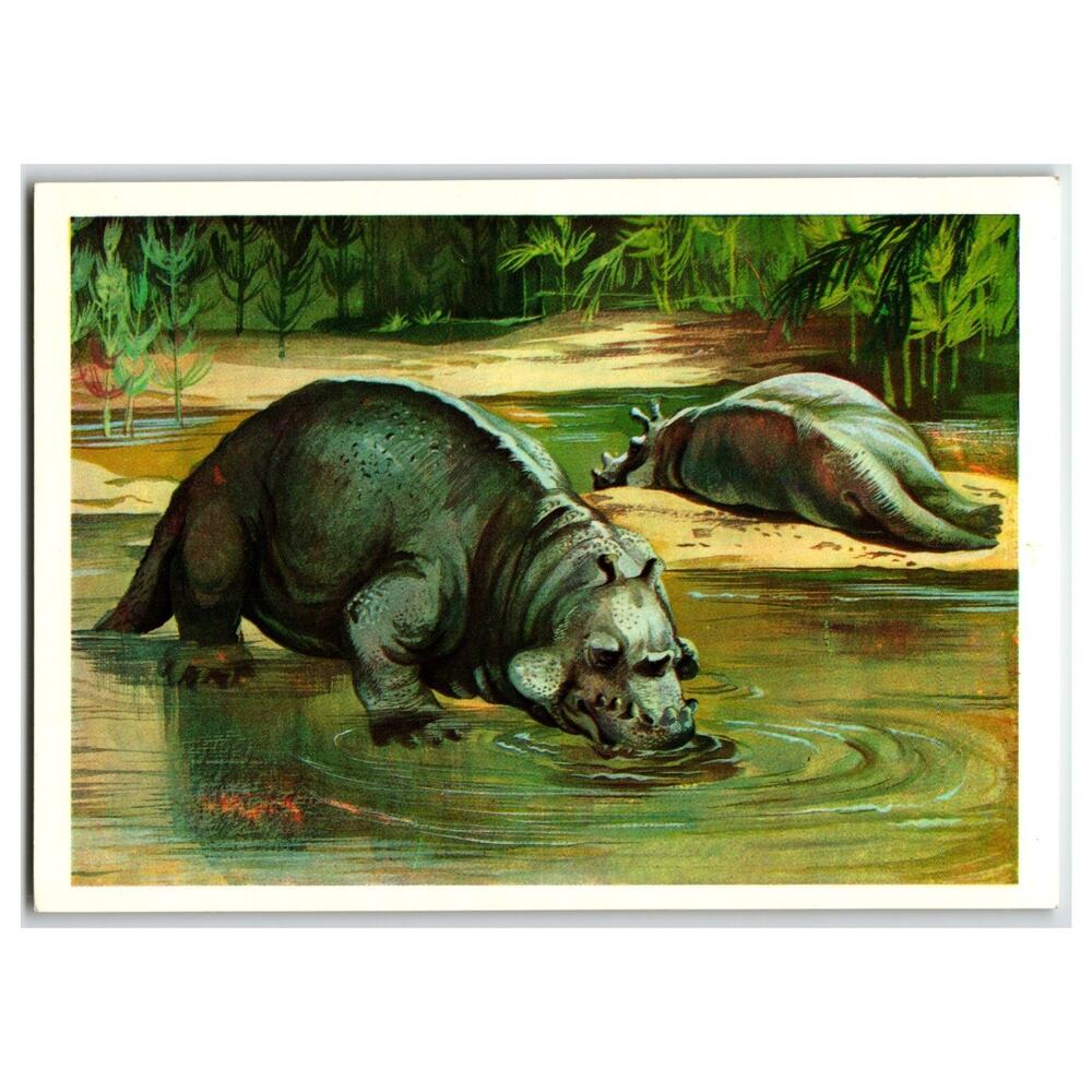 1979 USSR Estemmenosuchus Prehistoric Animal Dinosaur Art Postcard